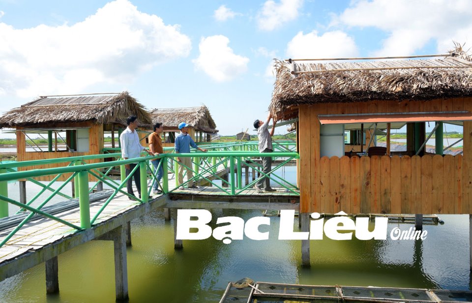 Bạc Liêu: Đánh thức tiềm năng du lịch trên bãi bồi ven biển - Ảnh 2.