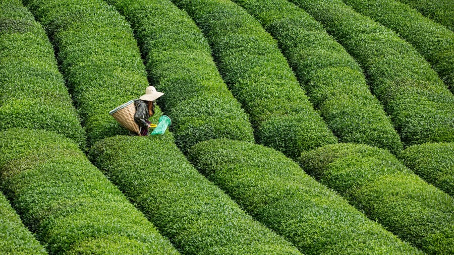 Bản sắc văn hóa riêng của Thổ Nhĩ Kỳ trong nghệ thuật thưởng trà  - Ảnh 1.
