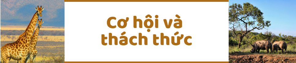 Cách Tanzania làm du lịch safari: Tạo thêm nhiều trải nghiệm độc đáo để thu hút du khách   - Ảnh 4.