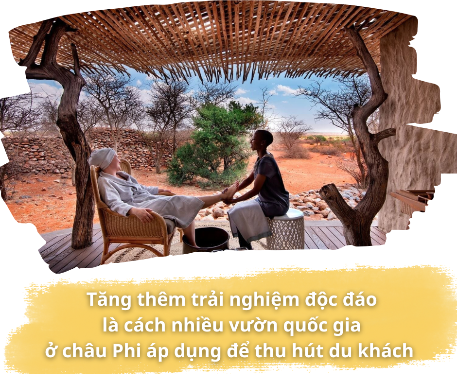 Cách Tanzania làm du lịch safari: Tạo thêm nhiều trải nghiệm độc đáo để thu hút du khách   - Ảnh 3.