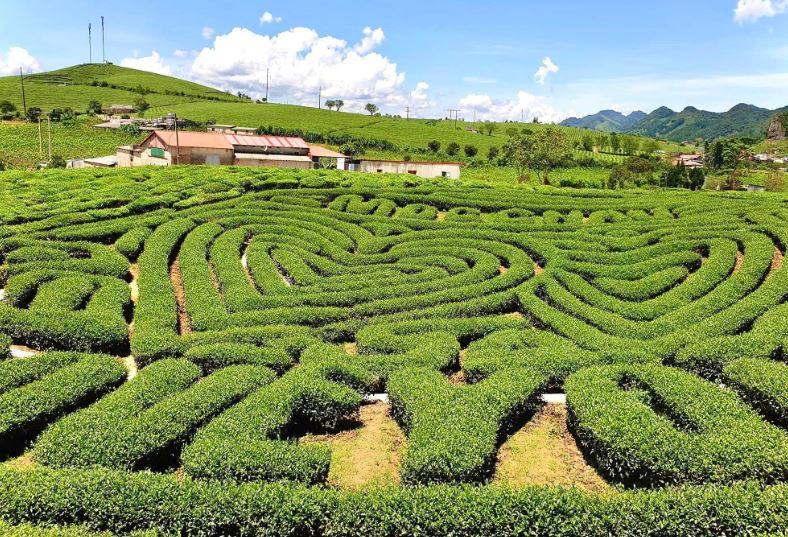 Sơn La tập trung phát triển du lịch - Ảnh 1.