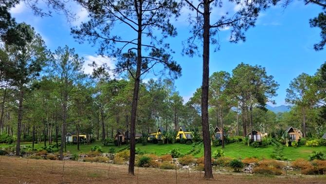 Sơn La quan tâm phát triển sản phẩm khu, điểm du lịch, bản du lịch cộng đồng - Ảnh 1.