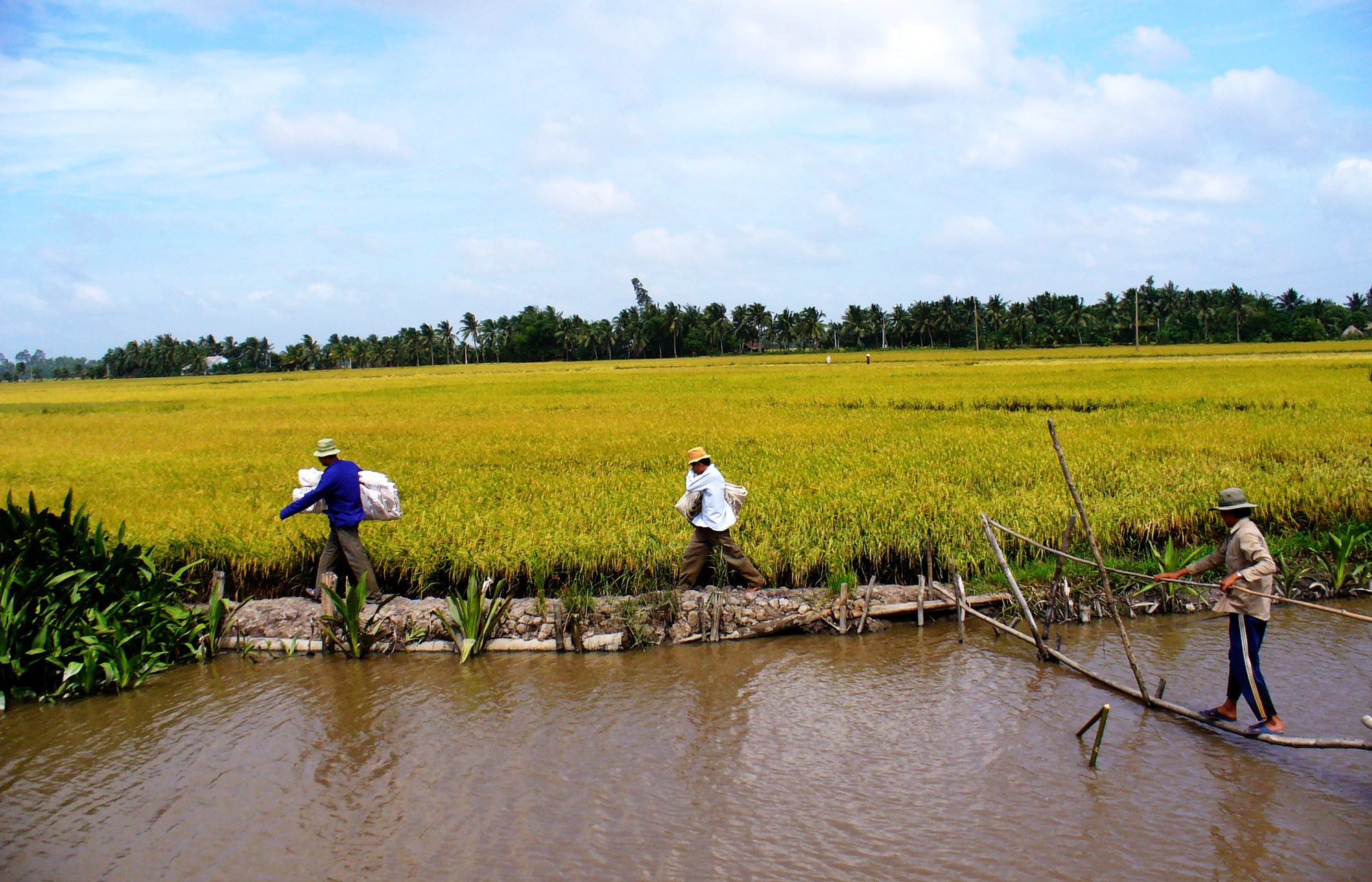 Du lịch sinh thái Tây Nam Bộ trở lại - Ảnh 1.