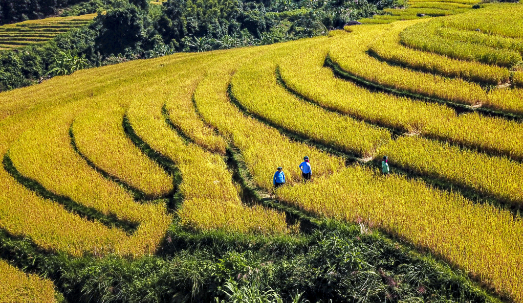 Du lịch Quảng Ninh với chiều sâu văn hóa dân tộc - Ảnh 2.