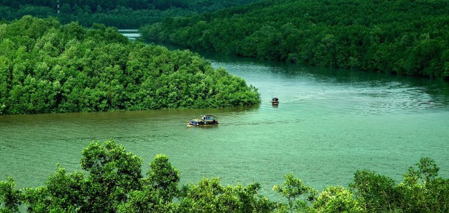 Triển lãm "Tuần Văn hóa Du lịch Di sản xanh - Nơi gặp gỡ con người và thiên nhiên" - Ảnh 1.