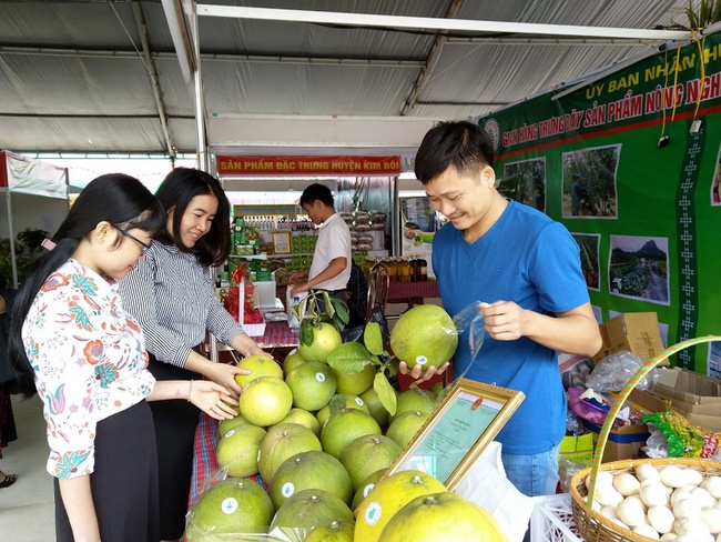 Tăng cường xúc tiến thương mại và du lịch tỉnh Hòa Bình năm 2023 - Ảnh 1.