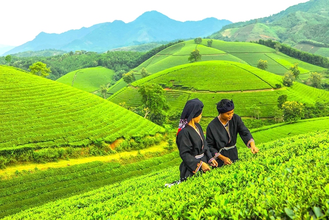 Phú Thọ: Phê duyệt Chương trình khung xúc tiến du lịch của tỉnh năm 2023 - Ảnh 1.