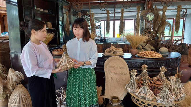 Yên Bái: Doanh thu từ hoạt động du lịch đạt gần 1.000 tỷ đồng - Ảnh 1.