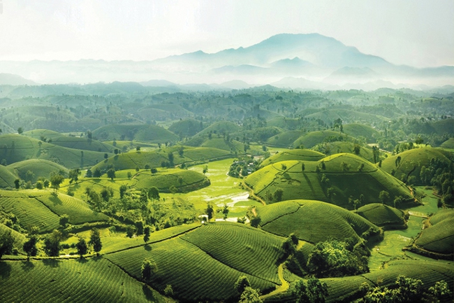 Phú Thọ: Để du lịch bứt phá - Ảnh 4.