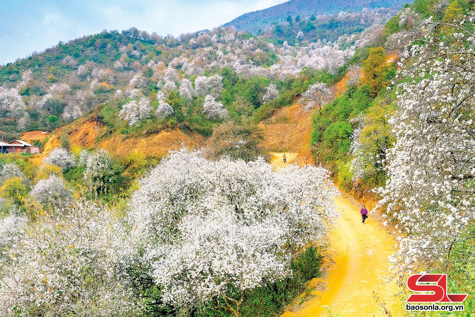 Du lịch Sơn La - Điểm nhấn vùng Tây Bắc - Ảnh 4.
