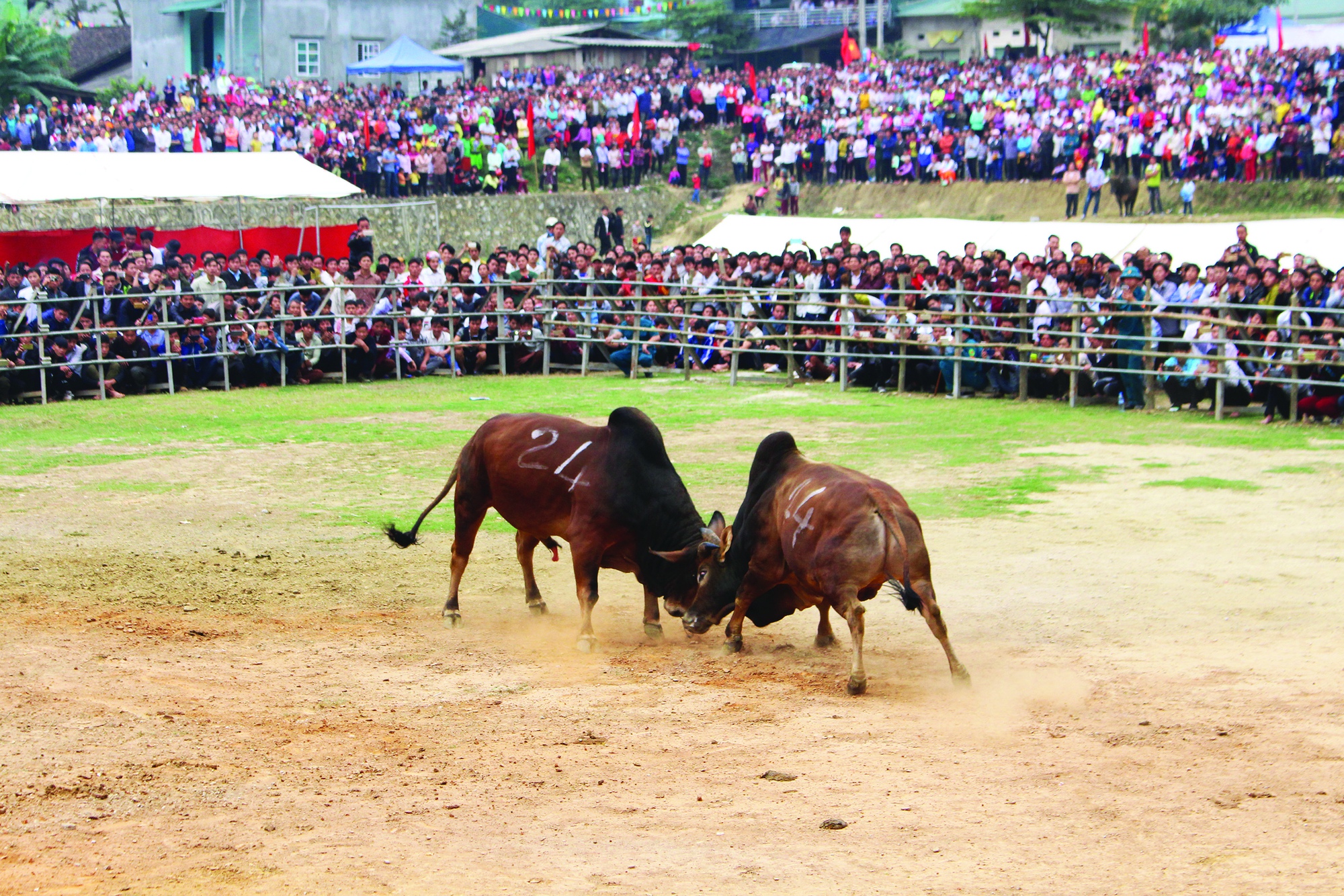 Cao Bằng: Bảo tồn, khôi phục và phát huy lễ hội truyền thống - Ảnh 2.