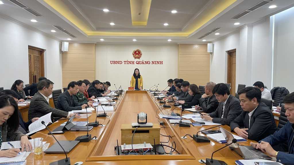 UBND tỉnh cho ý kiến về Đề án phát triển bền vững du lịch Quảng Ninh - Ảnh 1.