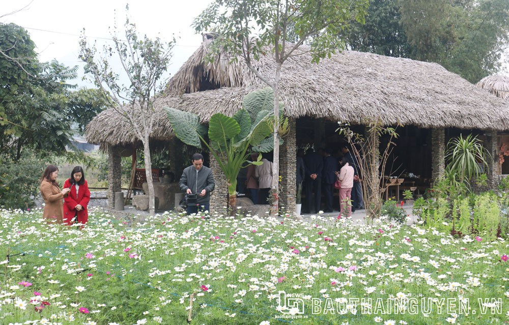 Du lịch Thái Nguyên phục hồi mạnh - Ảnh 2.