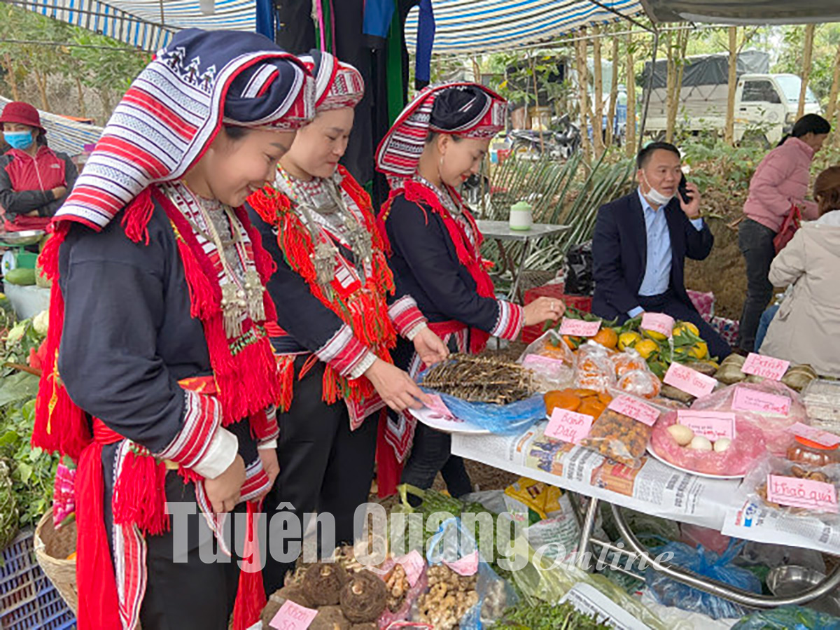 Tuyên Quang phát triển du lịch vùng cao: Cần những giải pháp bài bản - Ảnh 2.