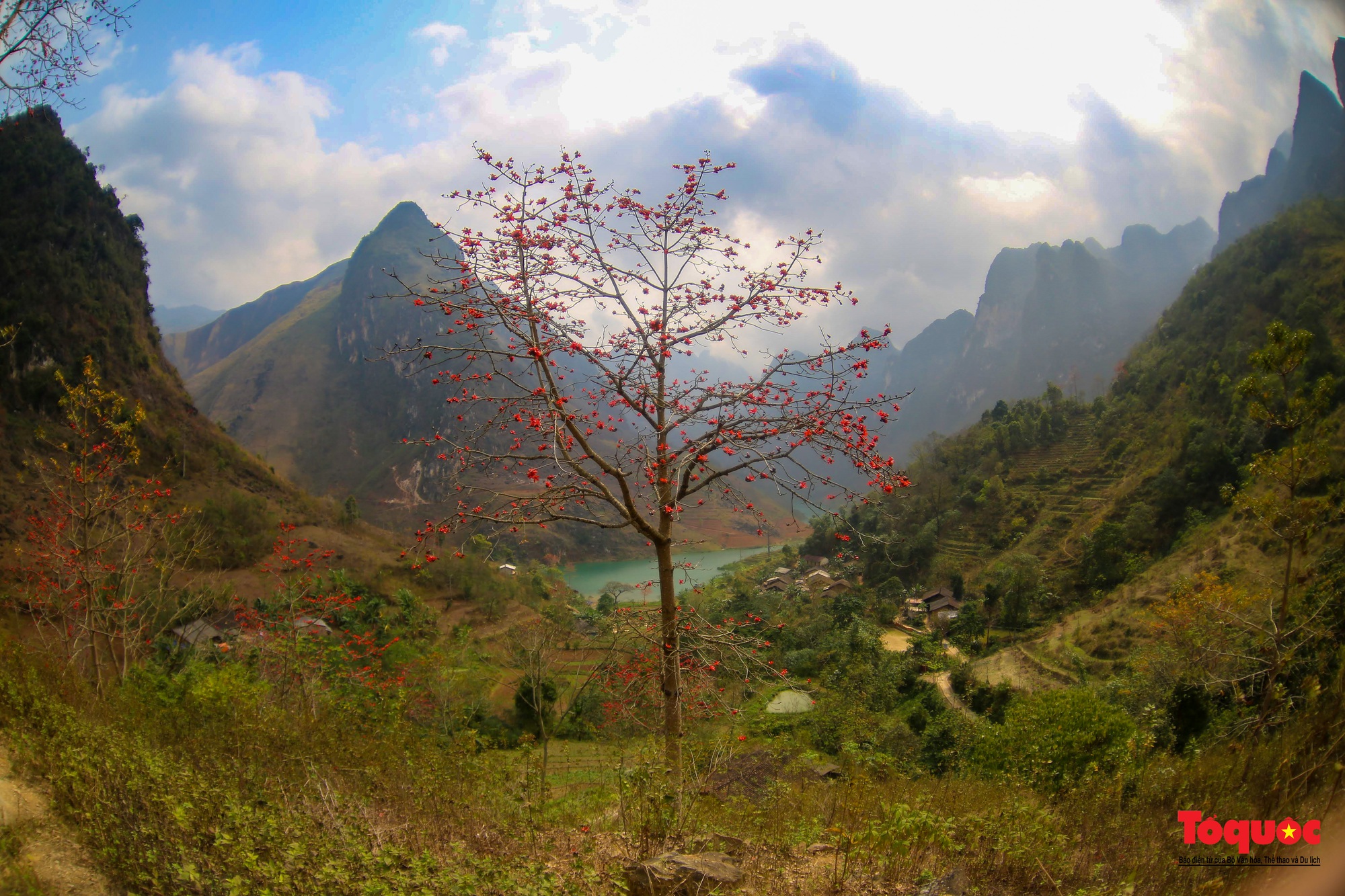 Mùa mộc miên "thắp lửa" trên cao nguyên đá Hà Giang - Ảnh 2.