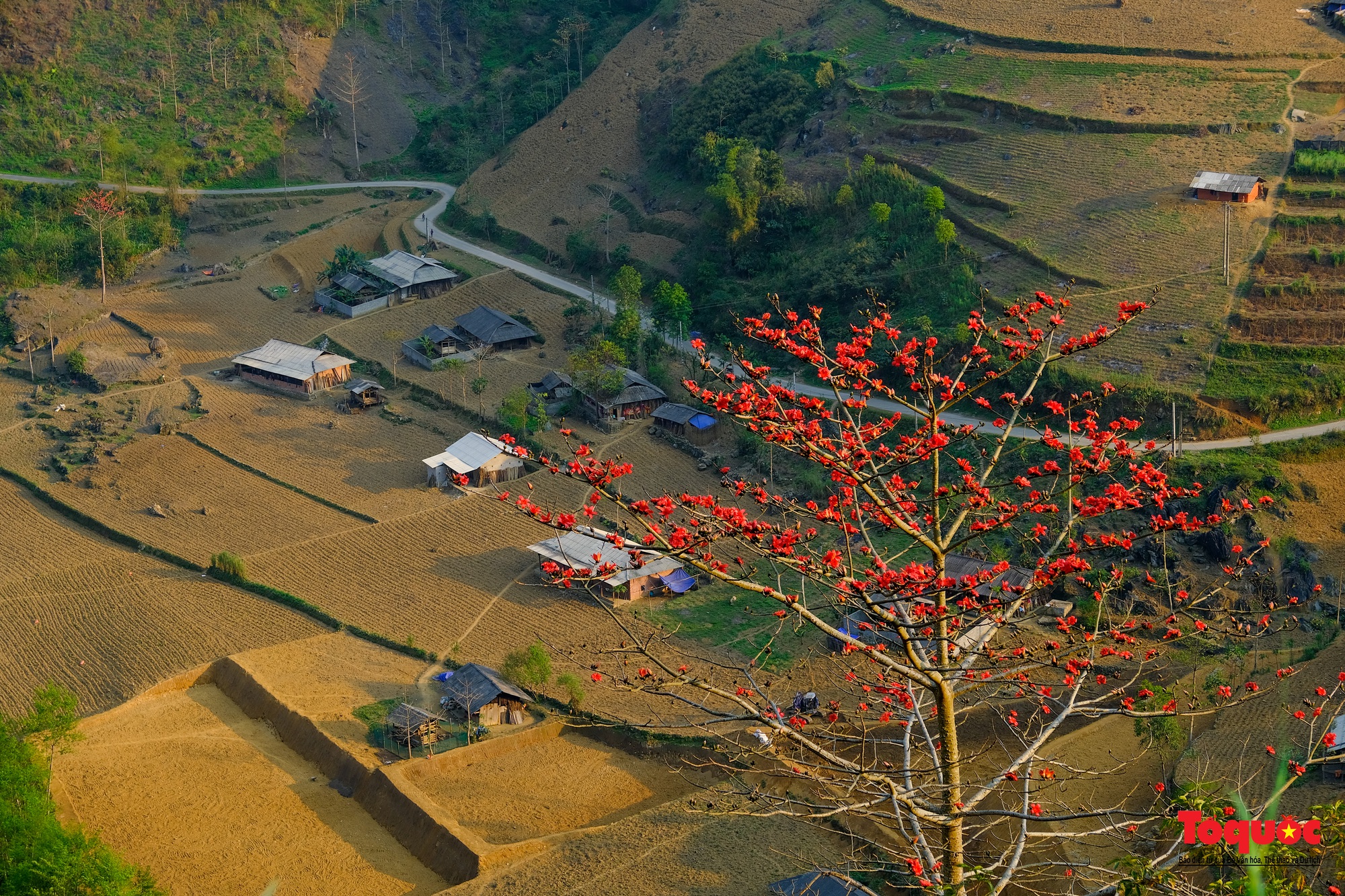 Mùa mộc miên "thắp lửa" trên cao nguyên đá Hà Giang - Ảnh 7.