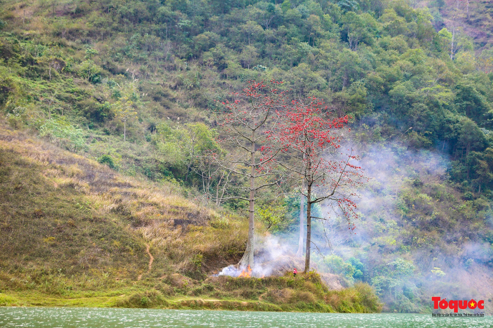 Mùa mộc miên "thắp lửa" trên cao nguyên đá Hà Giang - Ảnh 15.
