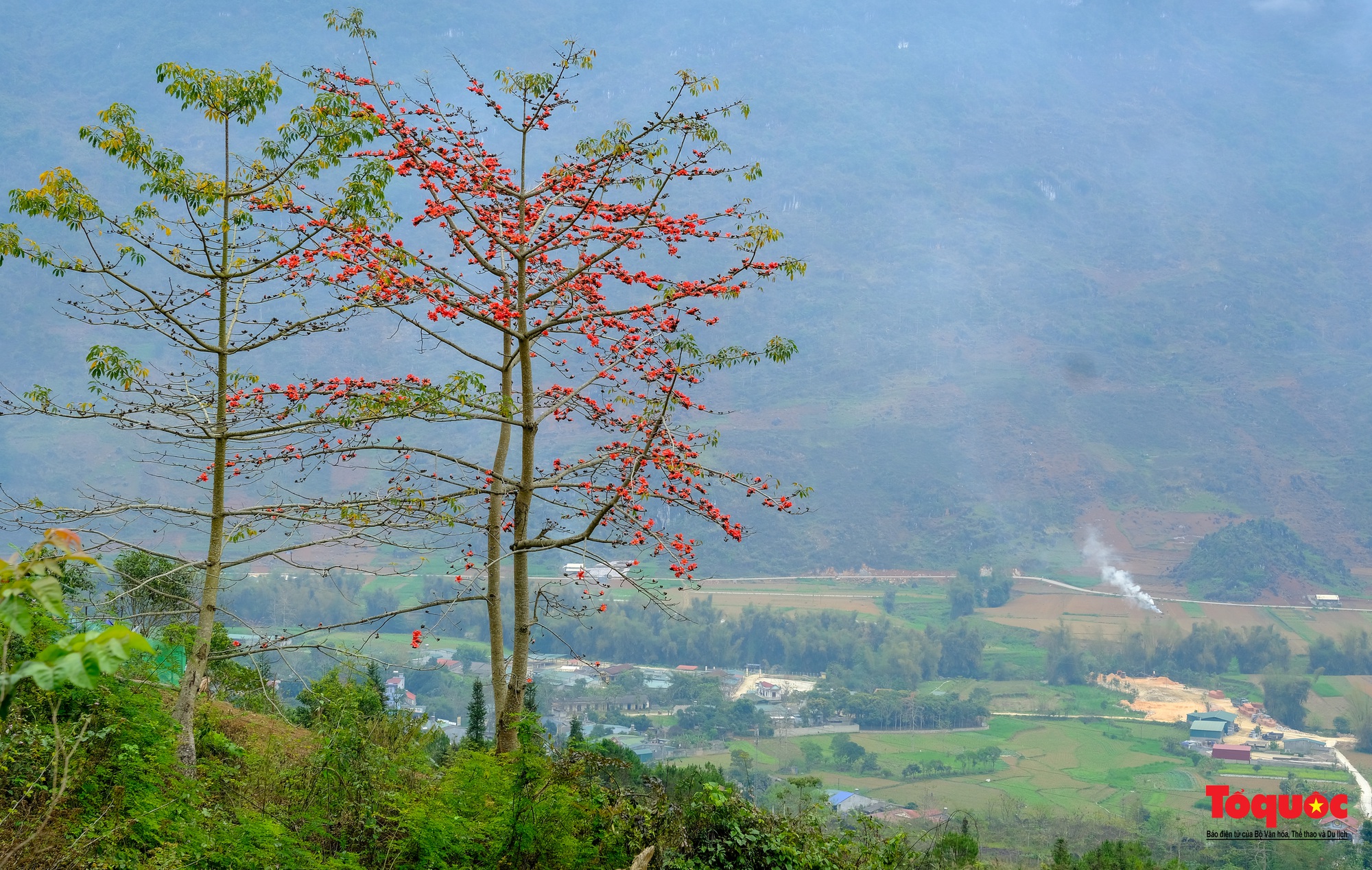 Mùa mộc miên "thắp lửa" trên cao nguyên đá Hà Giang - Ảnh 1.