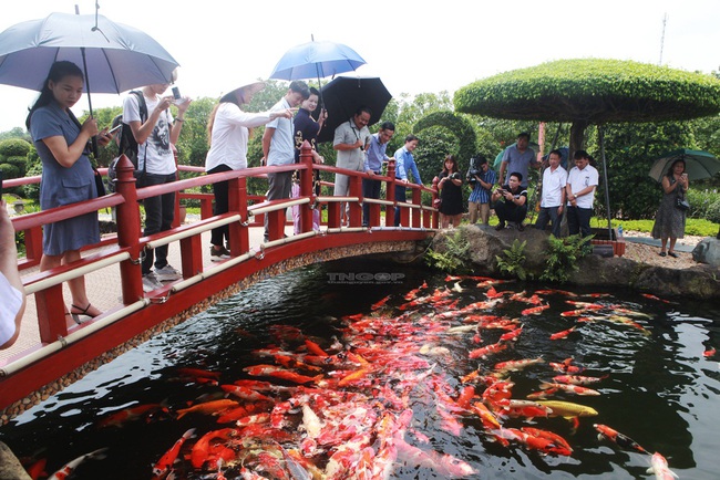 Du lịch Thái Nguyên: Bứt phá ngay từ đầu năm - Ảnh 3.