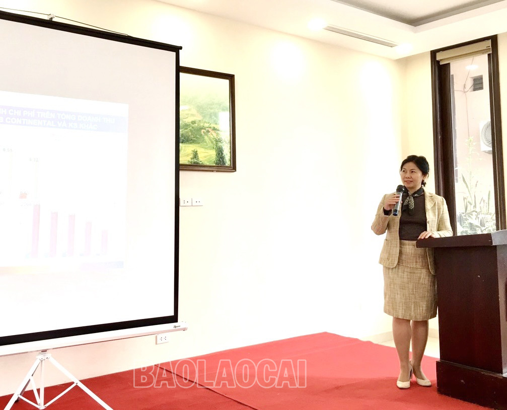 Lào Cai: Nâng cao nhận thức về tác hại của chất thải tại các cơ sở lưu trú, khu, điểm du lịch - Ảnh 3.