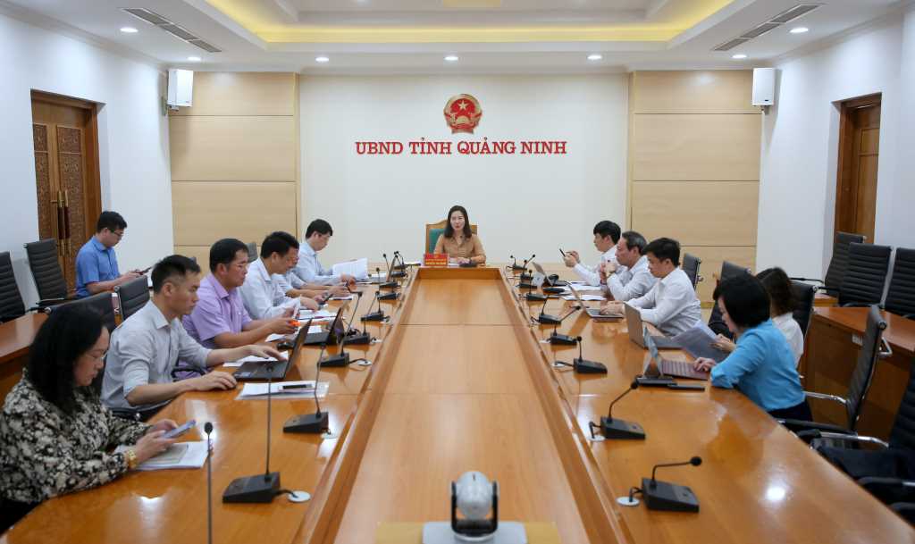 Quảng Ninh: Đẩy mạnh chuyển đổi số lĩnh vực văn hoá - xã hội - Ảnh 1.