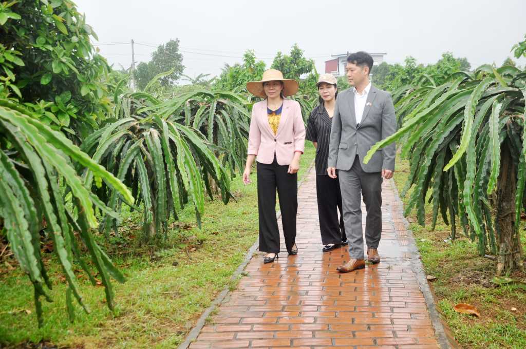Quảng Ninh: Hứa hẹn sức hấp dẫn từ những sản phẩm du lịch mới - Ảnh 5.