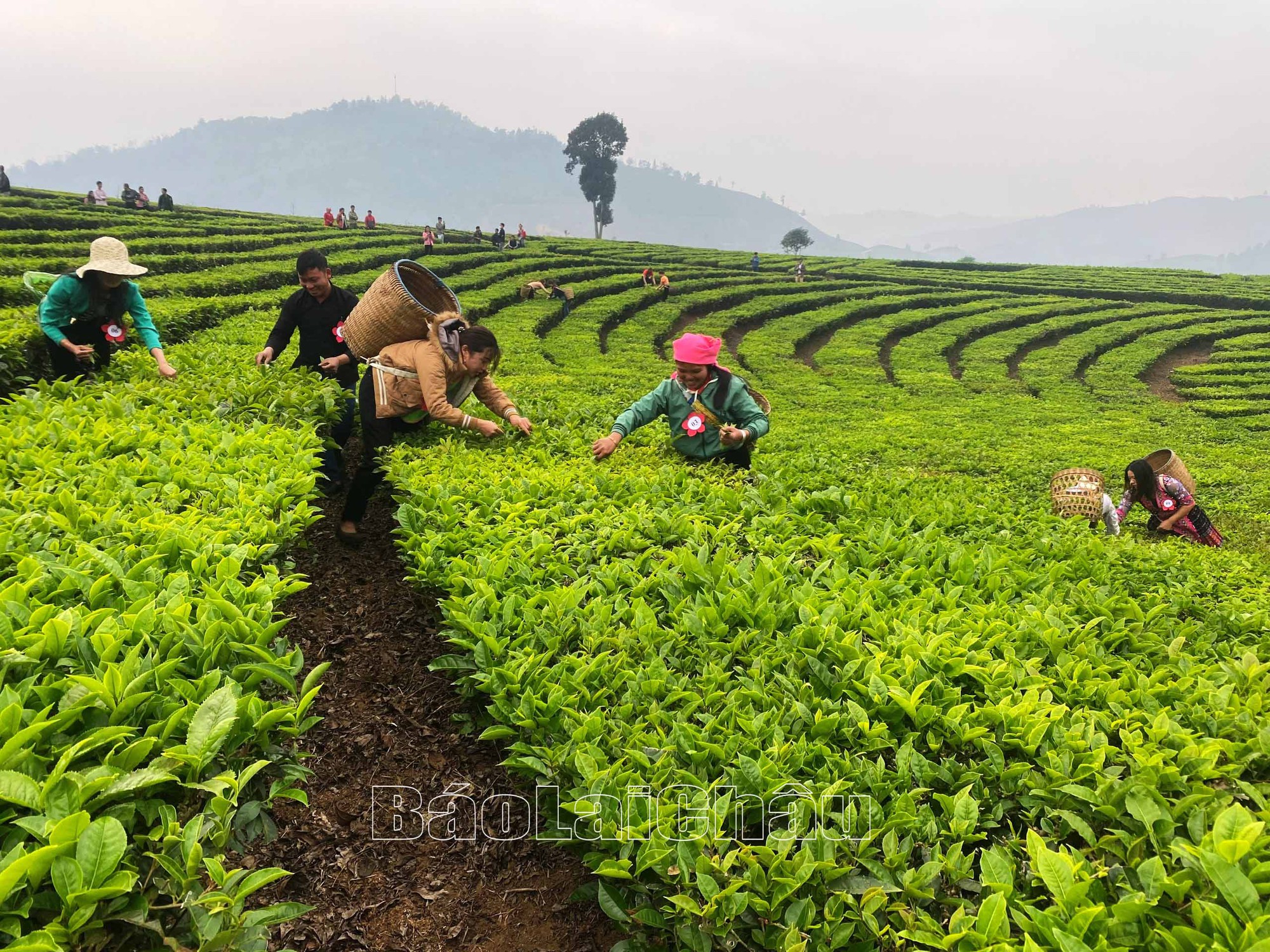 Lai Châu: Phục hồi và nâng cao chất lượng nguồn nhân lực du lịch - Ảnh 2.