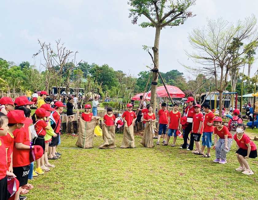 Gia Lai: Hấp dẫn loại hình du lịch thiên nhiên kết hợp với văn hóa bản địa - Ảnh 2.