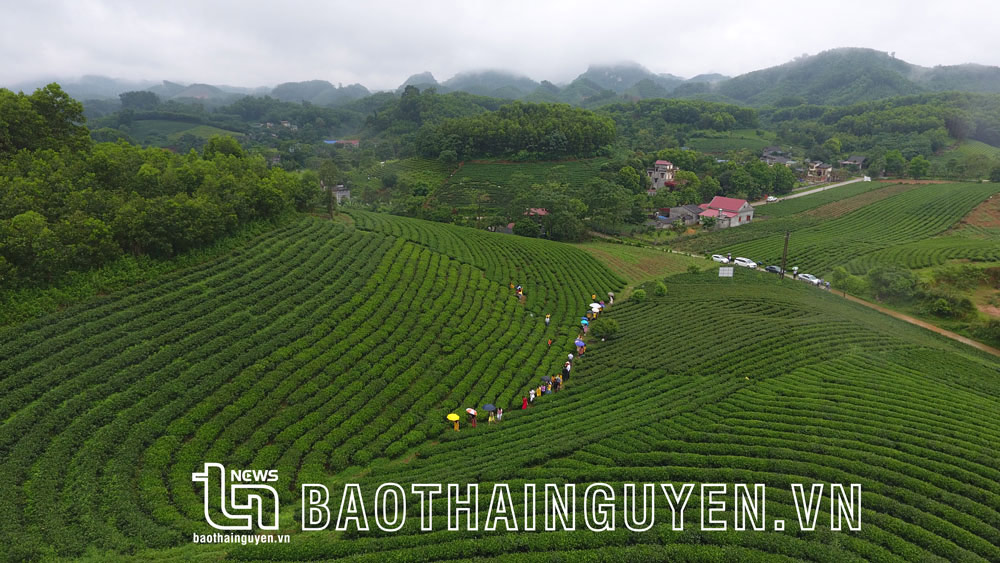 Thái Nguyên - Điểm đến thân thiện - Ảnh 4.