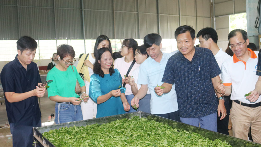 Famtrip quảng bá du lịch cộng đồng tại Thái Nguyên - Ảnh 1.