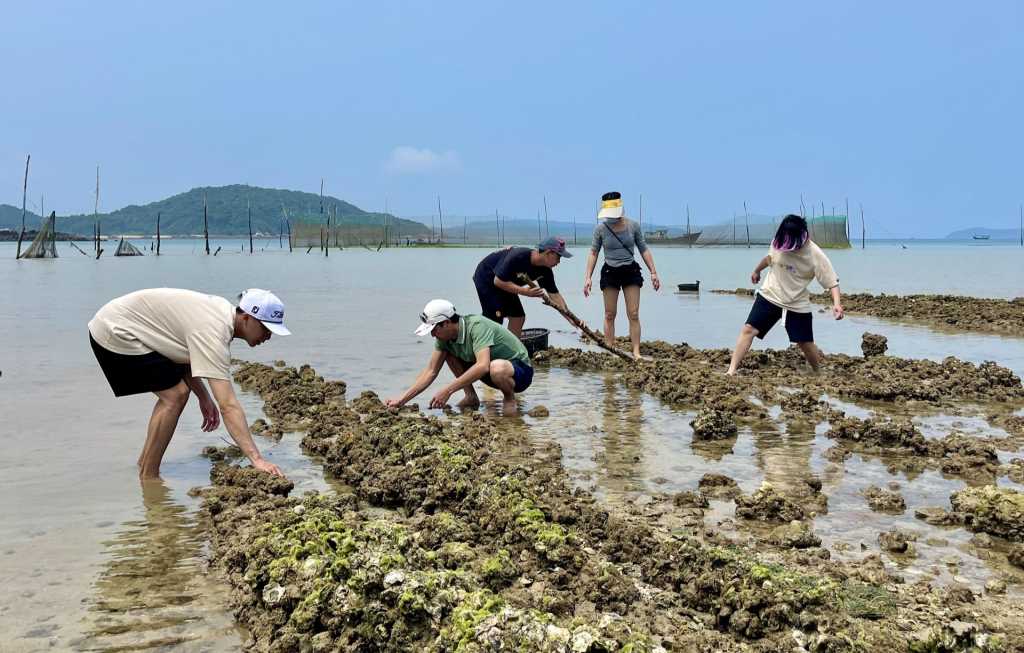 Quảng Ninh: Tăng sức hấp dẫn các điểm đến vệ tinh - Ảnh 1.