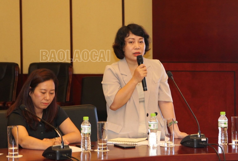 Kết nối du lịch các địa phương vùng Đông Bắc tỉnh Lào Cai - Ảnh 6.