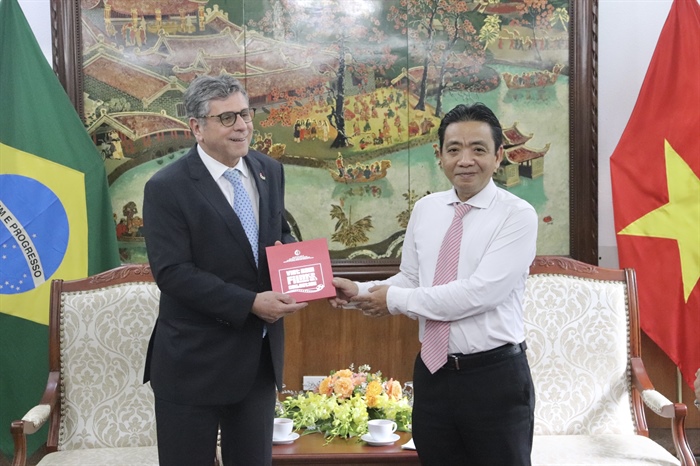Thúc đẩy hơn tác Văn hóa, Thể thao giữa Việt Nam - Brazil - Ảnh 2.