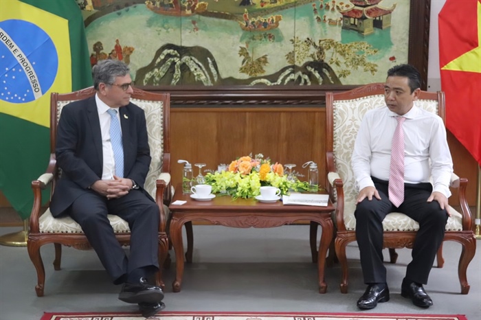 Thúc đẩy hơn tác Văn hóa, Thể thao giữa Việt Nam - Brazil - Ảnh 1.