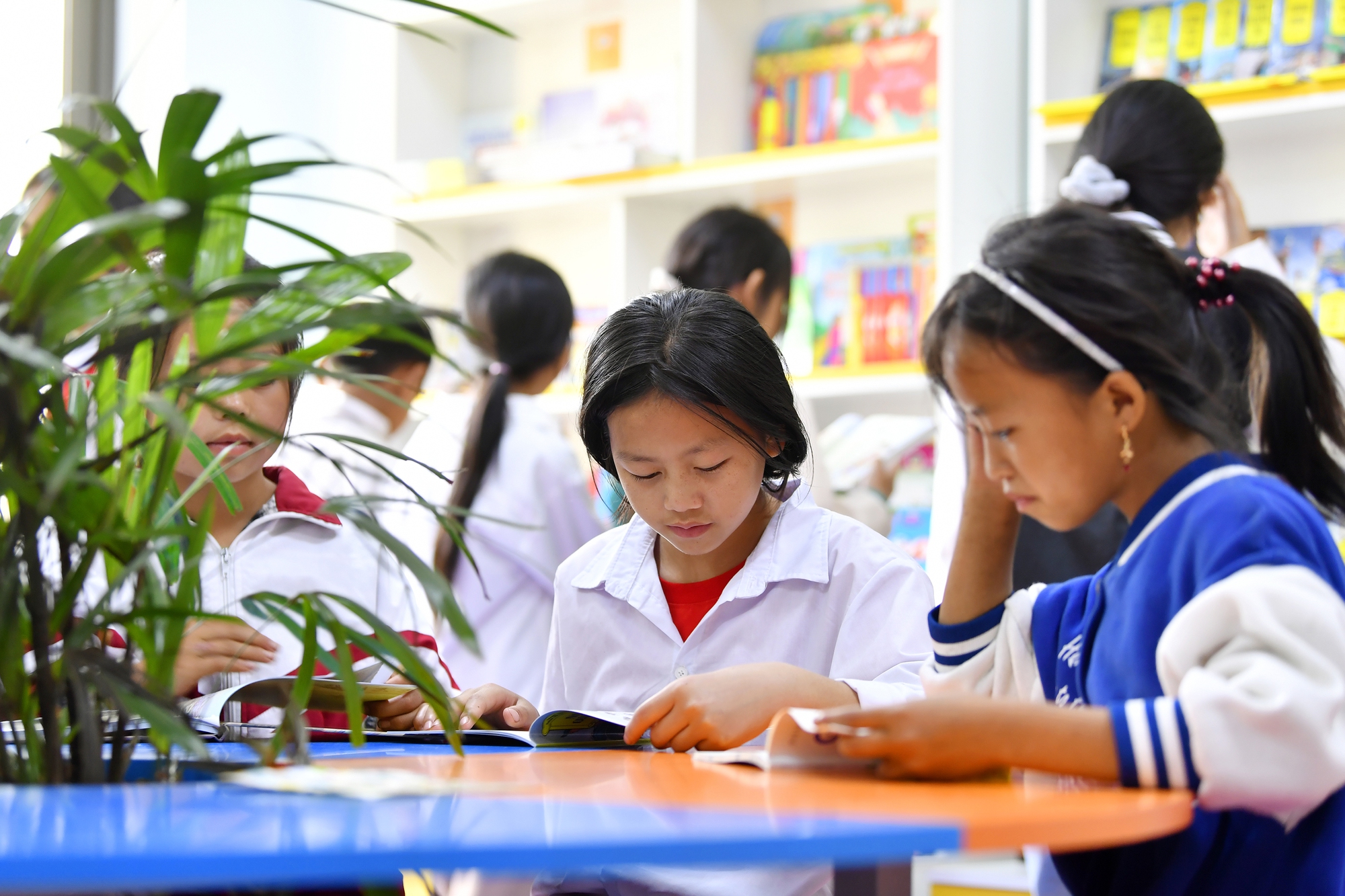 "Thư viện trên đá": Mang văn hóa đọc tới học sinh vùng cao - Ảnh 10.