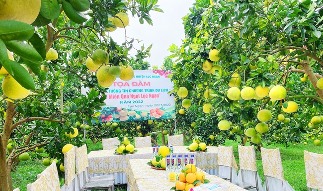 Bắc Giang: Tăng cường công tác hướng dẫn, đảm bảo vệ sinh môi trường tại các khu, điểm du lịch - Ảnh 1.