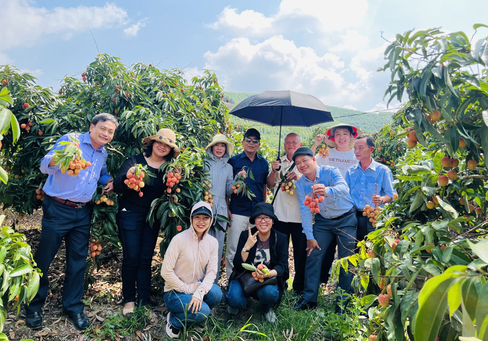 Bắc Giang: Nhiều hoạt động xúc tiến, quảng bá du lịch mùa vải thiều - Ảnh 1.