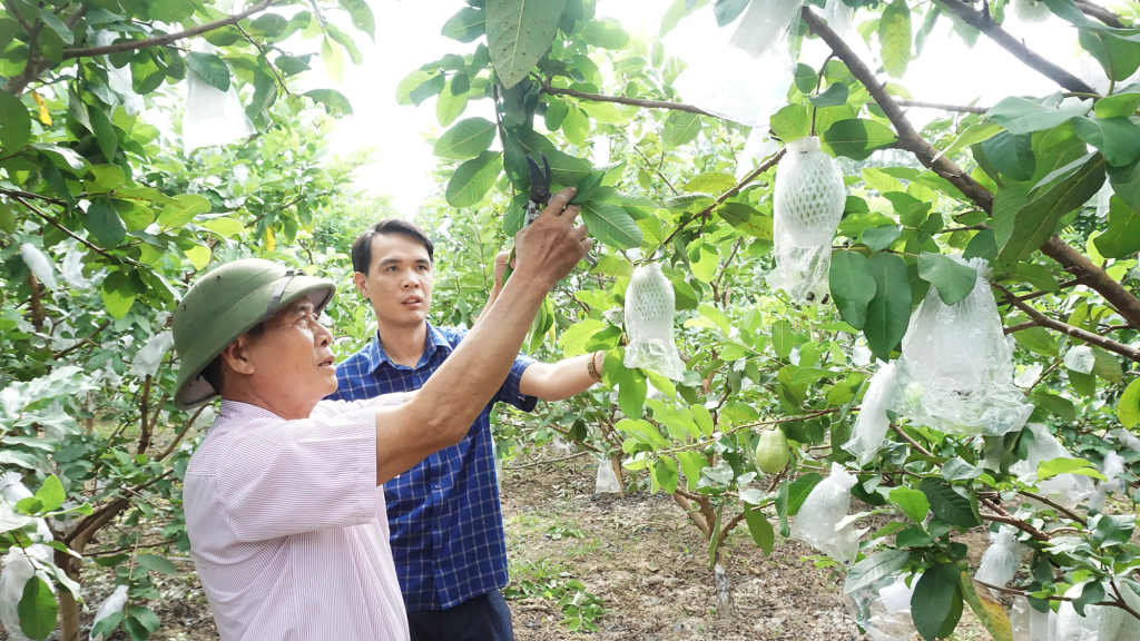 Quảng Ninh phát triển sản phẩm OCOP gắn với du lịch - Ảnh 2.