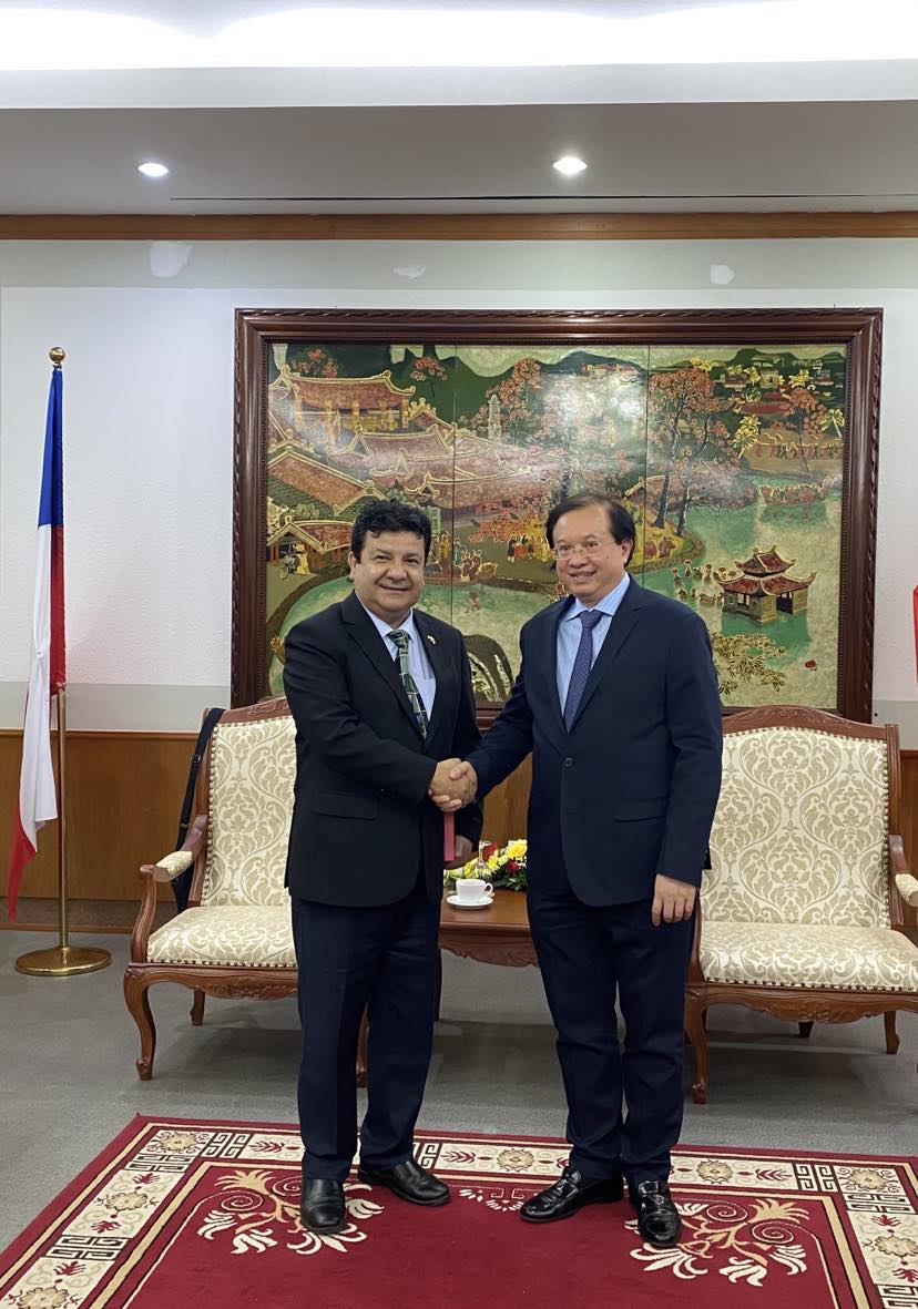 Việt Nam tăng cường hợp tác VHTTDL với Chile và Ai Cập - Ảnh 1.