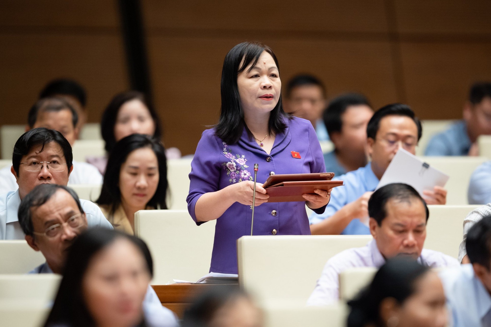 ĐBQH đề nghị bổ sung quy định đất đa mục đích, tạo cơ sở pháp lý cho thí điểm chính sách hợp tác công tư trong lĩnh vực giáo dục, văn hóa thể thao - Ảnh 1.