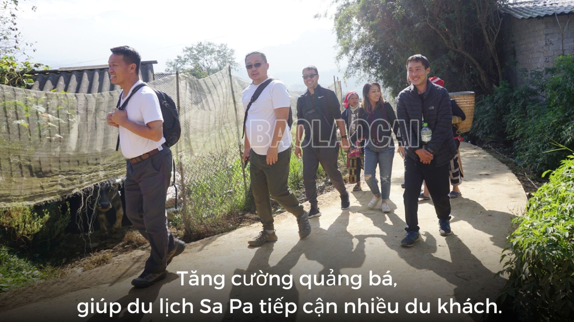 Lào Cai: Nâng cao chất lượng, hình ảnh du lịch - Ảnh 1.