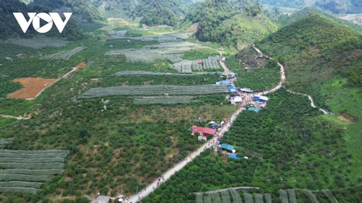 Mộc Châu hướng tới đô thị xanh, trọng điểm du lịch quốc gia - Ảnh 1.