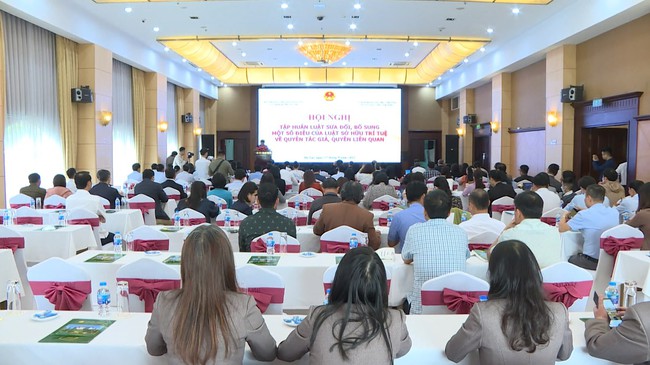 Tổ chức Hội nghị tập huấn, tuyên truyền phổ biến Nghị định số 17/2023/NĐ-CP quy định chi tiết một số điều và biện pháp thi hành Luật Sở hữu trí tuệ về quyền tác giả, quyền liên quan - Ảnh 1.
