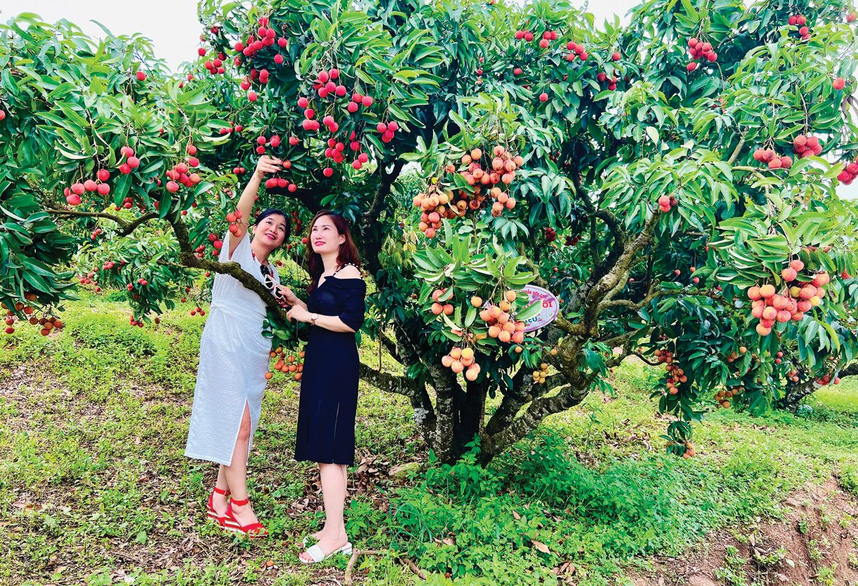 Bắc Giang: Điểm đến mới, hấp dẫn - Ảnh 1.