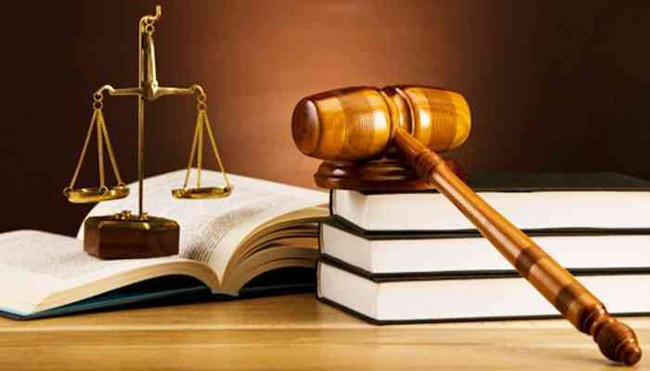 Tổ chức Hội nghị triển khai, phổ biến các văn bản quy phạm pháp luật hướng dẫn thi hành Luật Điện ảnh - Ảnh 1.