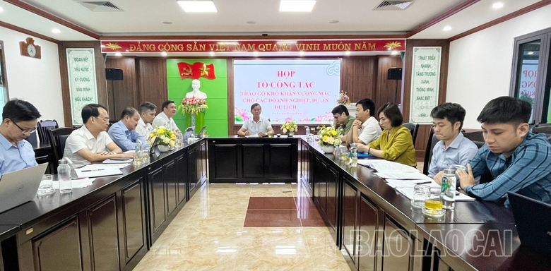 Lào Cai: Doanh nghiệp du lịch còn nhiều khó khăn, vướng mắc cần tháo gỡ - Ảnh 1.