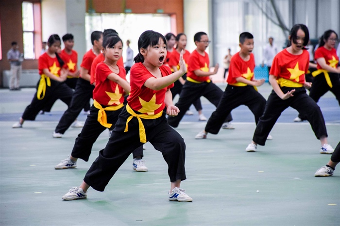 Tìm giải pháp đưa Võ cổ truyền Việt Nam ra thế giới - Ảnh 1.