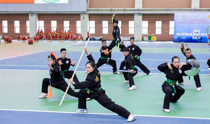 Tìm giải pháp đưa Võ cổ truyền Việt Nam ra thế giới - Ảnh 2.