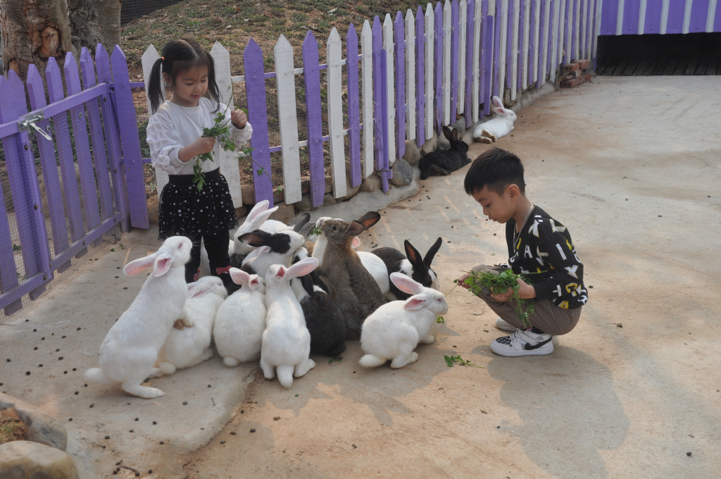 Quảng Ninh: Du lịch khởi sắc với nhiều điểm nhấn - Ảnh 1.