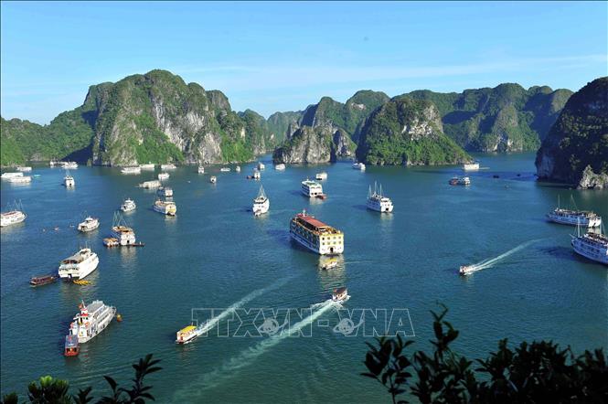 Miễn, giảm phí tham quan Vịnh Hạ Long, Bái Tử Long cho trẻ em và người già - Ảnh 1.
